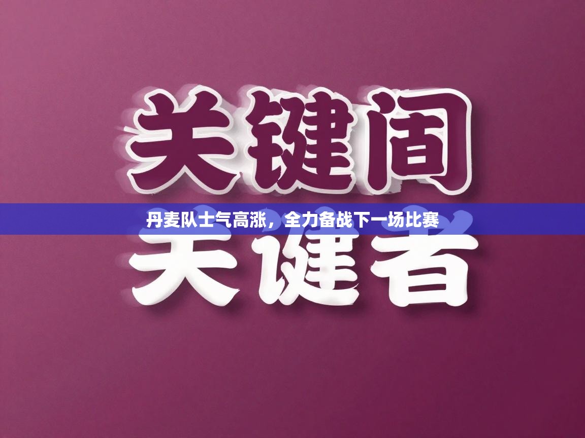 丹麦队士气高涨，全力备战下一场比赛  第2张