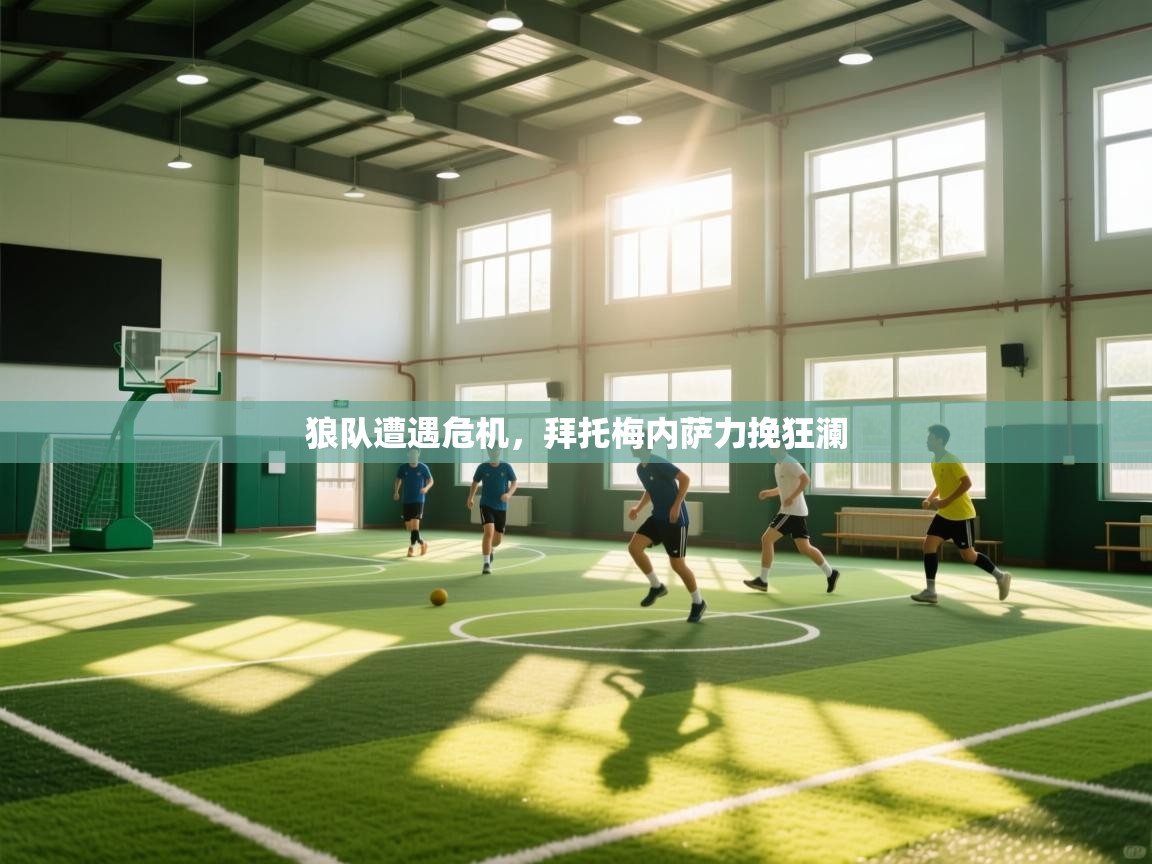 狼队遭遇危机，拜托梅内萨力挽狂澜  第1张